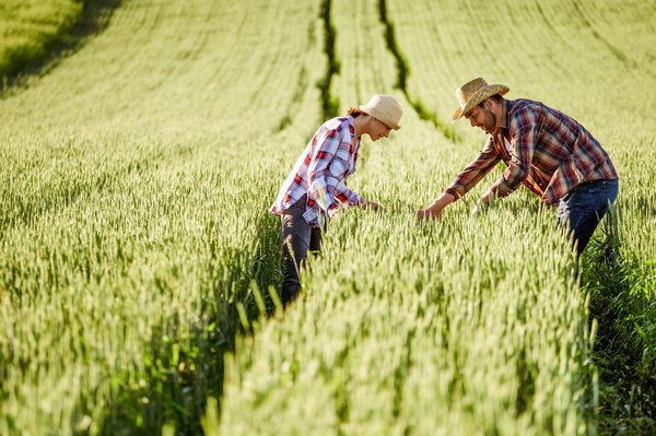 Les secrets de l'agriaffaiure pour réussir vos projets
